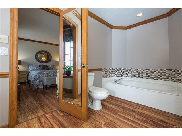 16459 Birch Forest Dr, Wildwood, MO 63011 photo 16