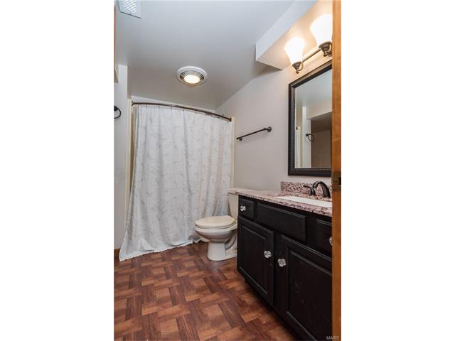 16459 Birch Forest Dr, Wildwood, MO 63011 photo 21