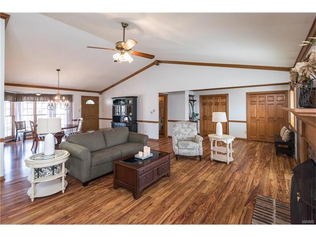 16459 Birch Forest Dr, Wildwood, MO 63011 photo 5