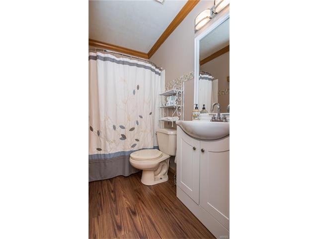 16459 Birch Forest Dr, Wildwood, MO 63011 photo 15