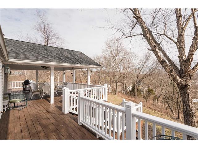 16459 Birch Forest Dr, Wildwood, MO 63011 photo 26