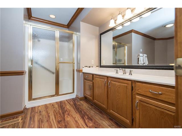 16459 Birch Forest Dr, Wildwood, MO 63011 photo 17