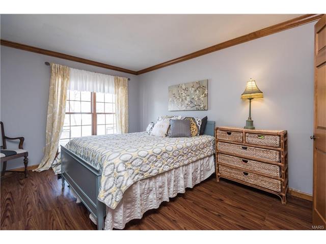 16459 Birch Forest Dr, Wildwood, MO 63011 photo 14