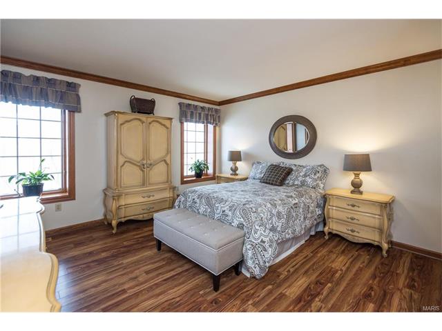 16459 Birch Forest Dr, Wildwood, MO 63011 photo 13