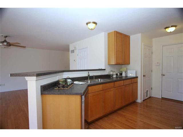 31 Brushy Brk, O'fallon, MO 63366 photo 13