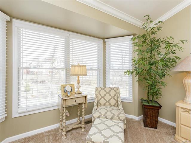 631 W Falls Ct, O'fallon, MO 63368 photo 22