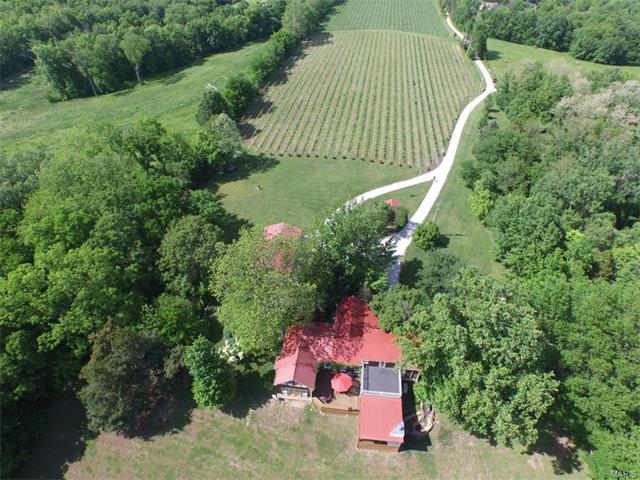 271 Bluff Ln, Augusta, MO 63332 photo 76