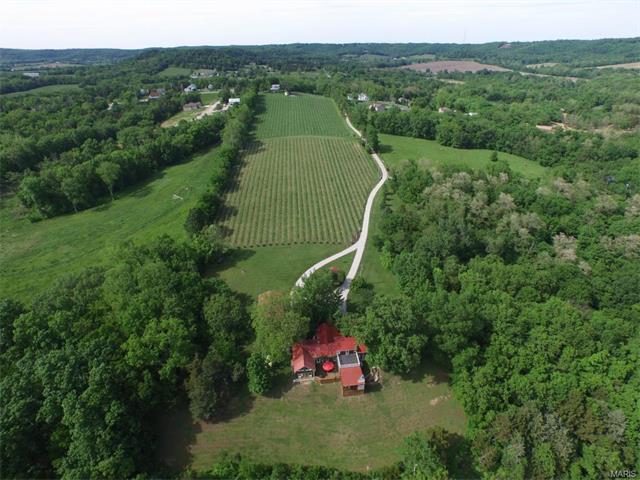 271 Bluff Ln, Augusta, MO 63332 photo 83