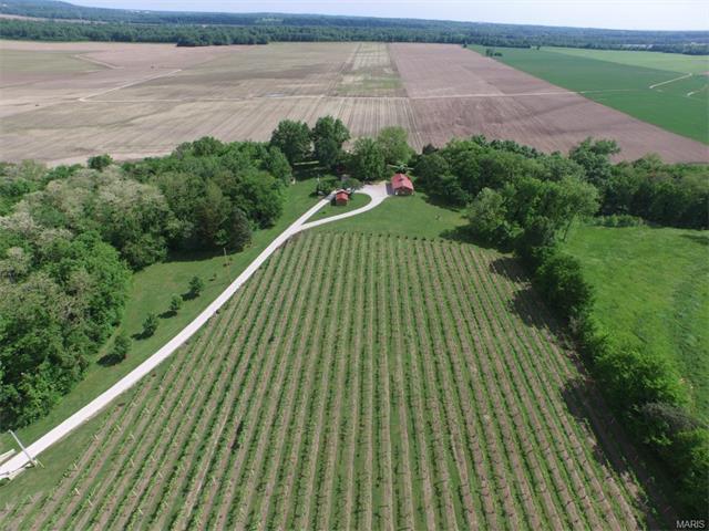 271 Bluff Ln, Augusta, MO 63332 photo 74