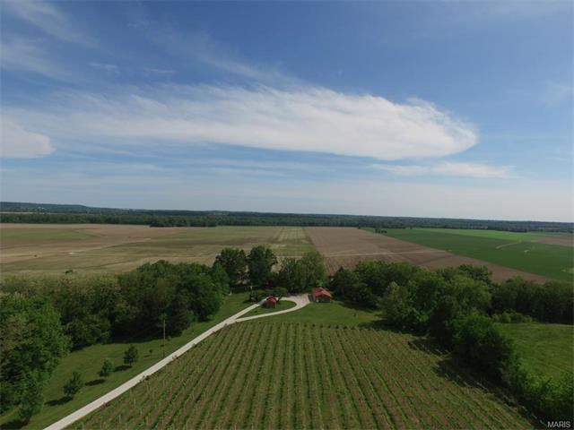 271 Bluff Ln, Augusta, MO 63332 photo 73