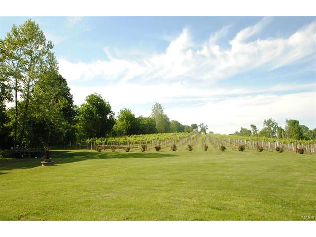 271 Bluff Ln, Augusta, MO 63332 photo 72