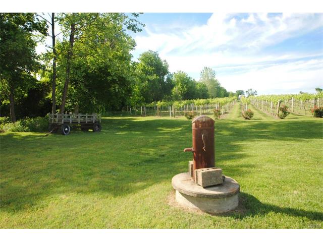 271 Bluff Ln, Augusta, MO 63332 photo 71
