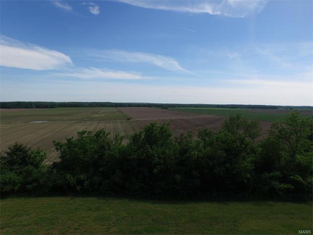 271 Bluff Ln, Augusta, MO 63332 photo 85