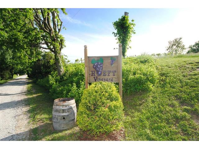 271 Bluff Ln, Augusta, MO 63332 photo 93