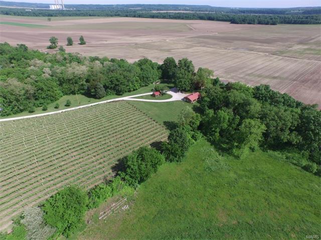 271 Bluff Ln, Augusta, MO 63332 photo 8