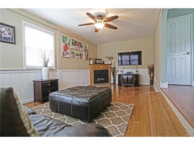11132 Patsy, Saint Louis, MO 63123 photo 5