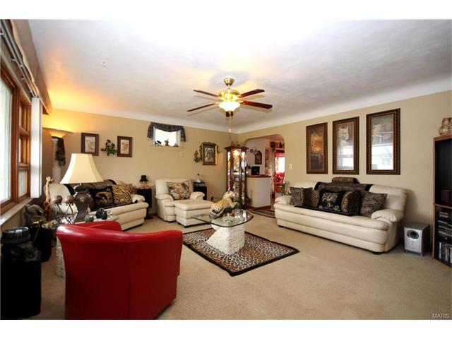 114 Mariae Ln, O'fallon, MO 63366 photo 28