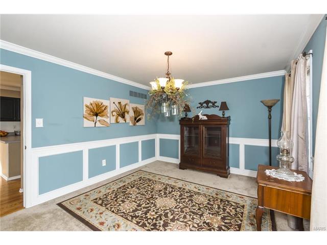 304 Fox Briar Ln, Ballwin, MO 63021 photo 14