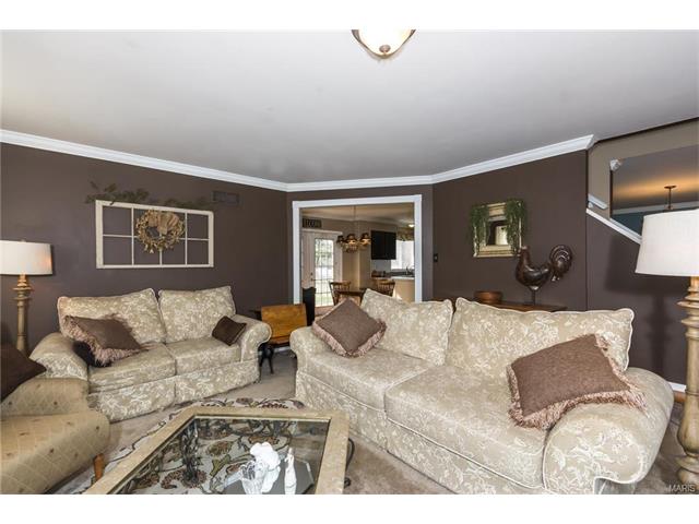 304 Fox Briar Ln, Ballwin, MO 63021 photo 13