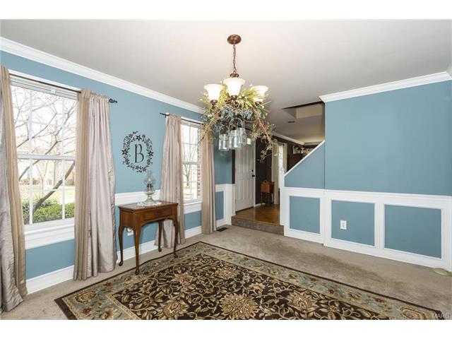 304 Fox Briar Ln, Ballwin, MO 63021 photo 16