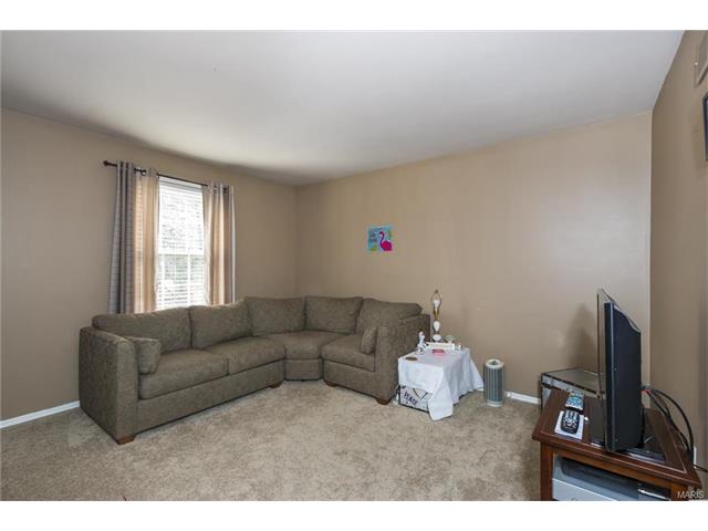 304 Fox Briar Ln, Ballwin, MO 63021 photo 19