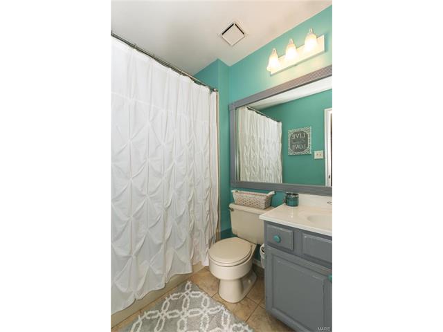 304 Fox Briar Ln, Ballwin, MO 63021 photo 20