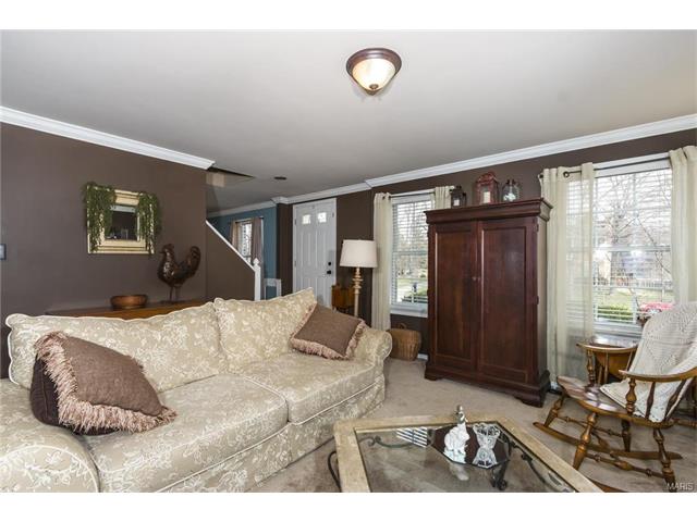 304 Fox Briar Ln, Ballwin, MO 63021 photo 12