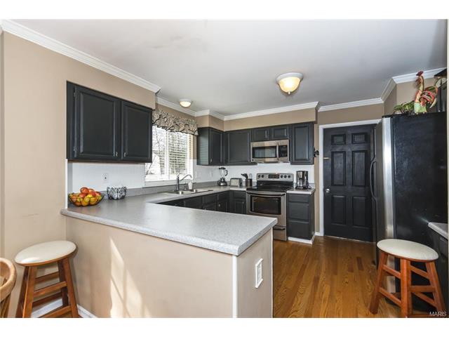 304 Fox Briar Ln, Ballwin, MO 63021 photo 5