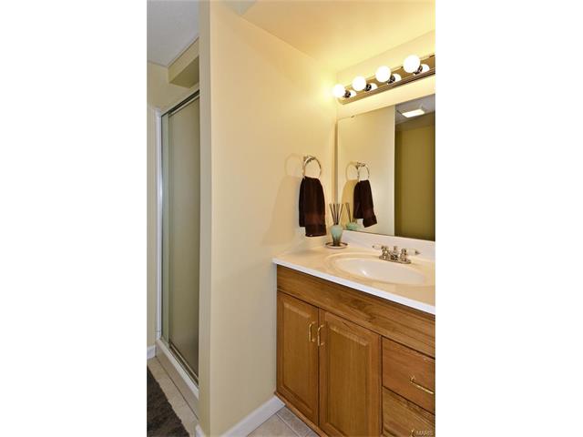 211 Ballyshannon Ct, Ballwin, MO 63021 photo 24