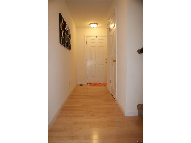 206 Springbeach Dr, O'fallon, MO 63368 photo 23