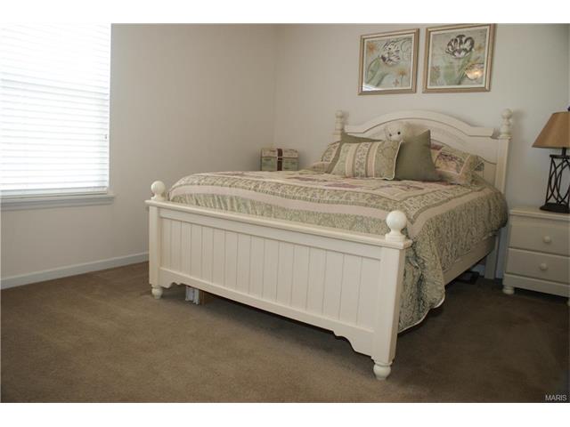 206 Springbeach Dr, O'fallon, MO 63368 photo 20