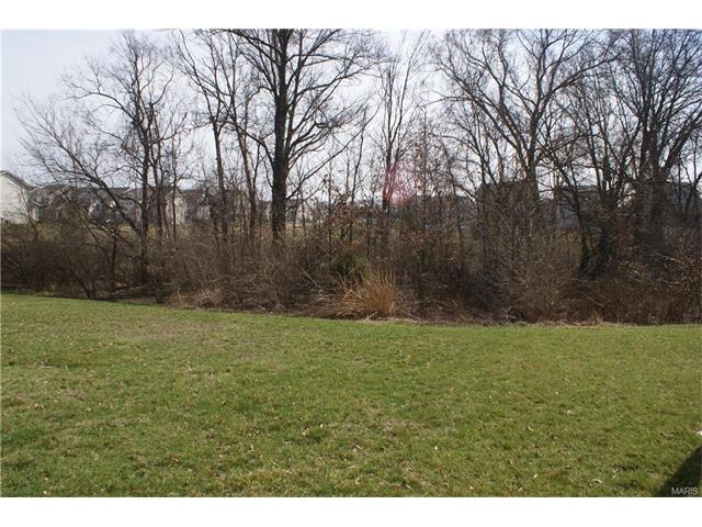 206 Springbeach Dr, O'fallon, MO 63368 photo 27