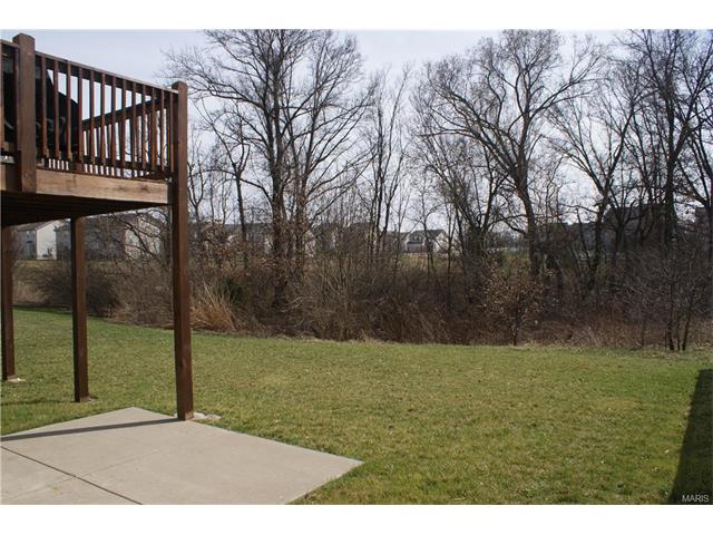 206 Springbeach Dr, O'fallon, MO 63368 photo 26