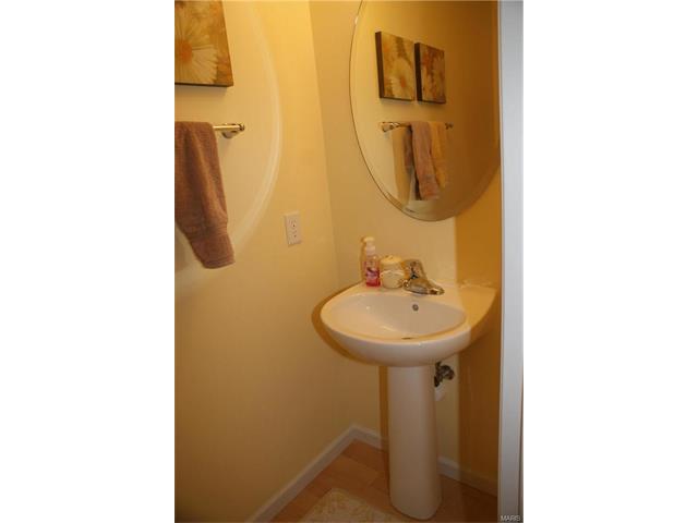 206 Springbeach Dr, O'fallon, MO 63368 photo 22