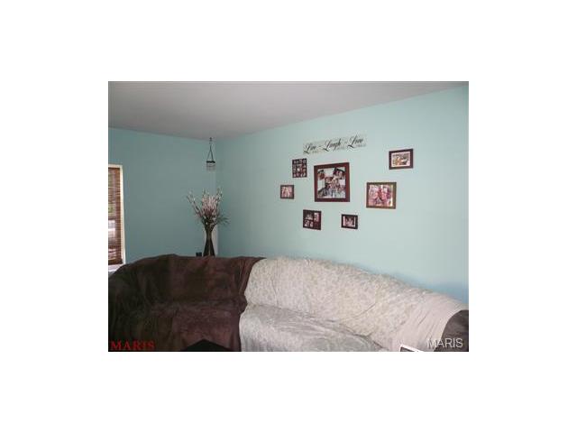 7100 Heege Rd, Saint Louis, MO 63123 photo 9