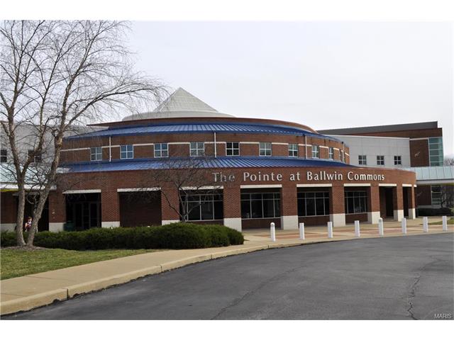466 Coachgate, Ballwin, MO 63021 photo 23