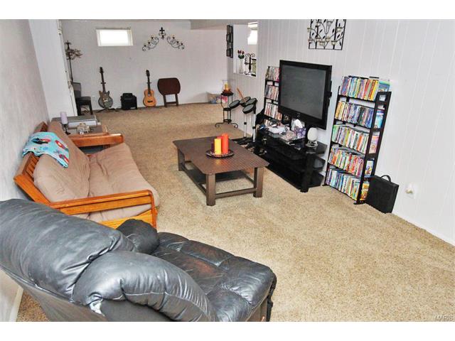 11100 Patsy Dr, Saint Louis, MO 63123 photo 28