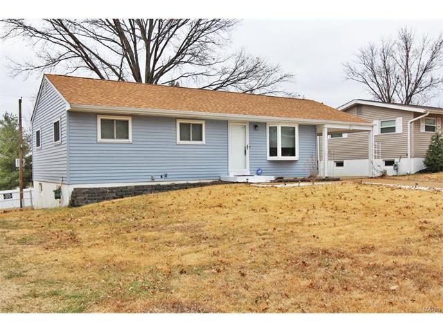 11100 Patsy Dr, Saint Louis, MO 63123 photo 47
