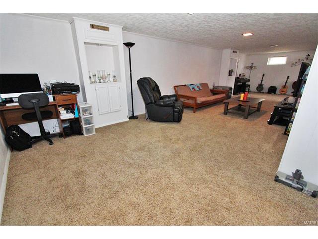 11100 Patsy Dr, Saint Louis, MO 63123 photo 30