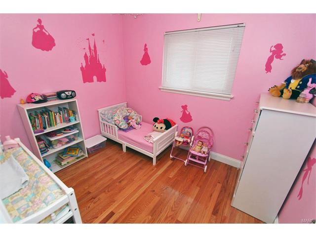 11100 Patsy Dr, Saint Louis, MO 63123 photo 26