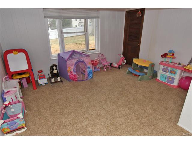 11100 Patsy Dr, Saint Louis, MO 63123 photo 33