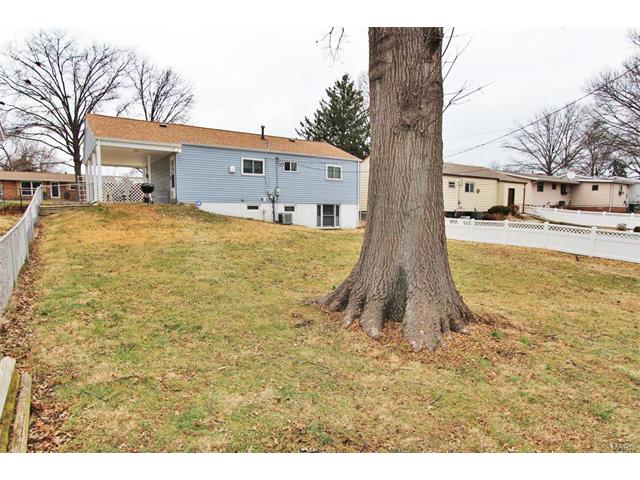 11100 Patsy Dr, Saint Louis, MO 63123 photo 44