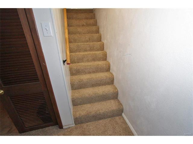 11100 Patsy Dr, Saint Louis, MO 63123 photo 27