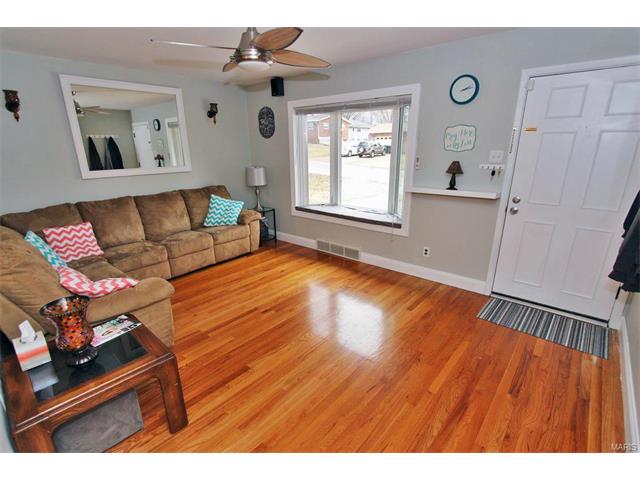 11100 Patsy Dr, Saint Louis, MO 63123 photo 5