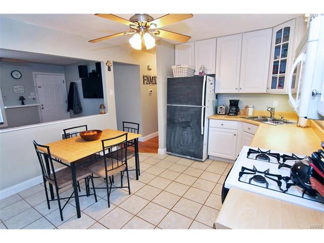 11100 Patsy Dr, Saint Louis, MO 63123 photo 9