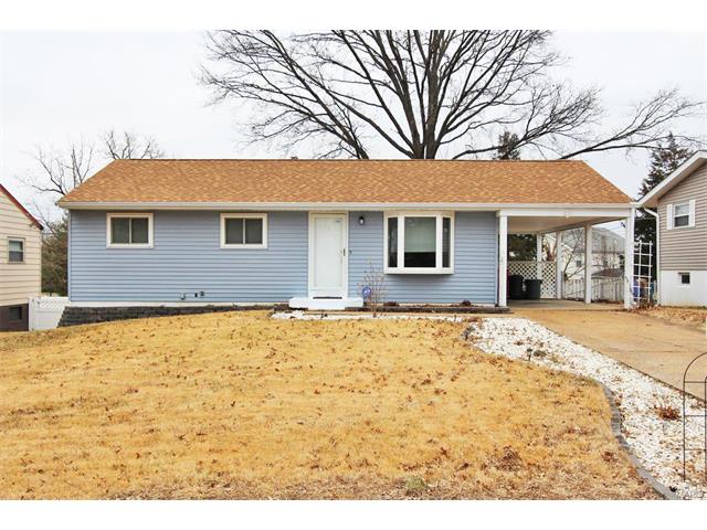 11100 Patsy Dr, Saint Louis, MO 63123 photo 1
