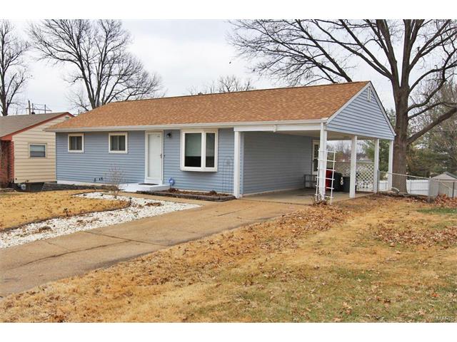 11100 Patsy Dr, Saint Louis, MO 63123 photo 45