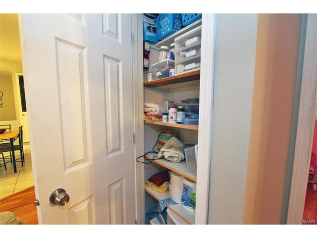 11100 Patsy Dr, Saint Louis, MO 63123 photo 23