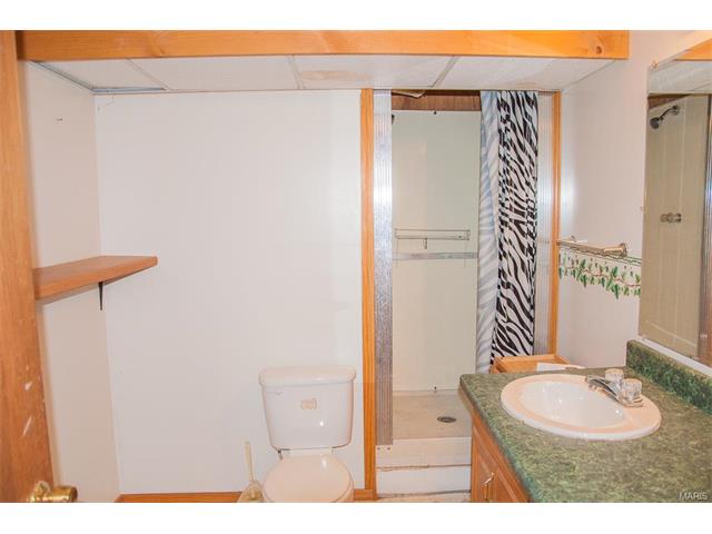 1329 Half Moon Dr, O'fallon, MO 63366 photo 22