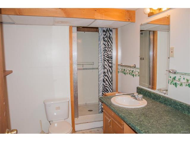 1329 Half Moon Dr, O'fallon, MO 63366 photo 21